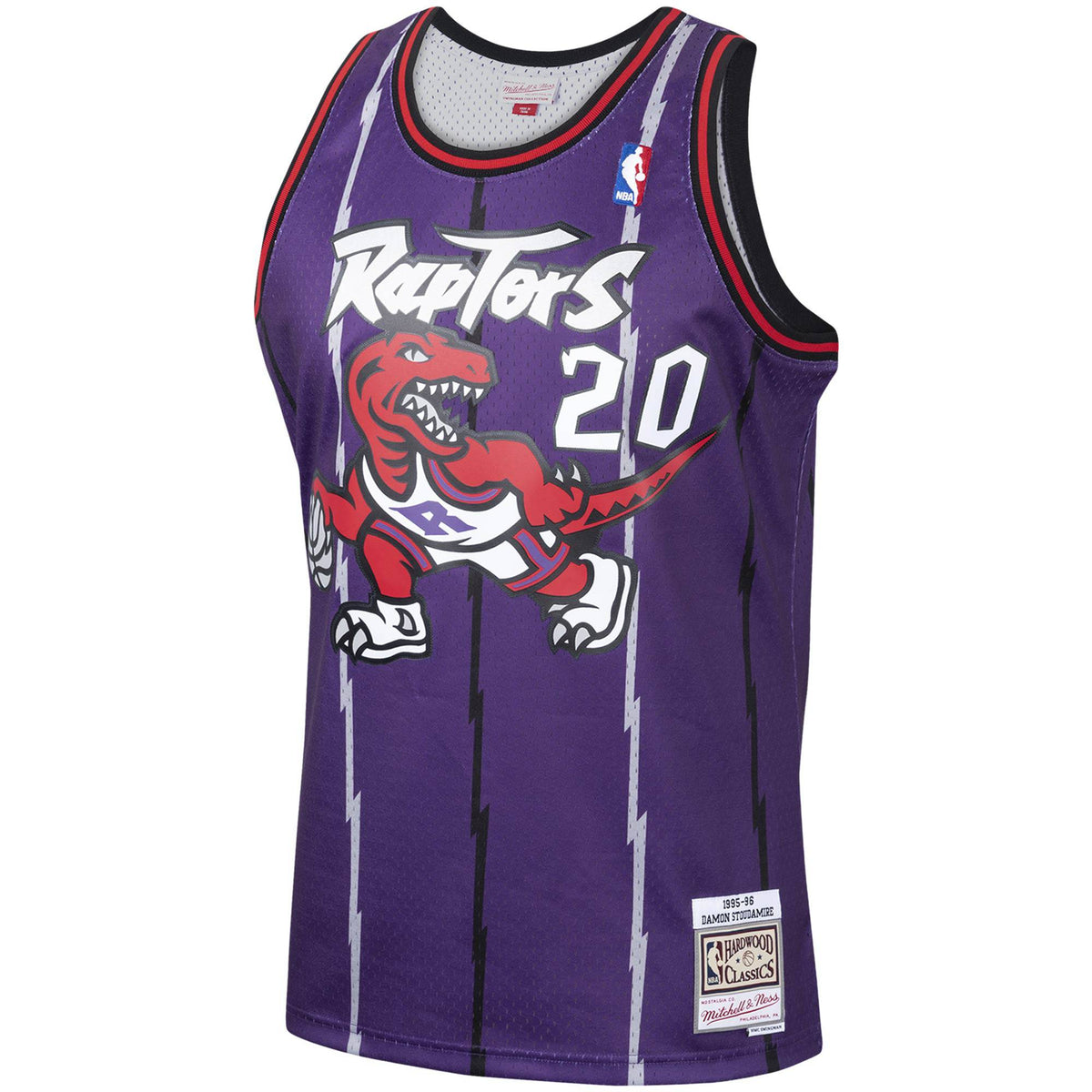 Men's Damon Stoudamire Toronto Raptors Mitchell & Ness 1995-96 Hardwood Classics Swingman Jersey - Purple
