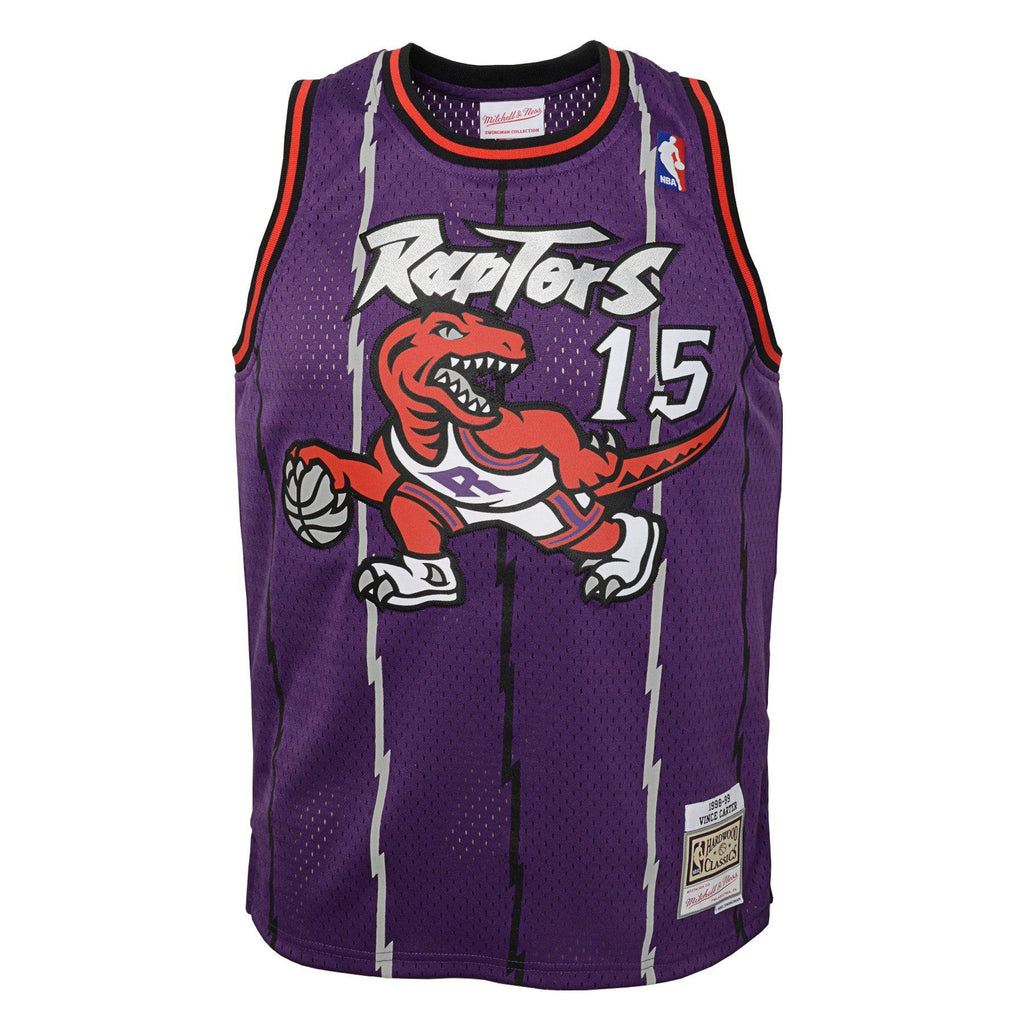 Youth Toronto Raptors Vince Carter Mitchell & Ness Purple Hardwood Classics Jersey